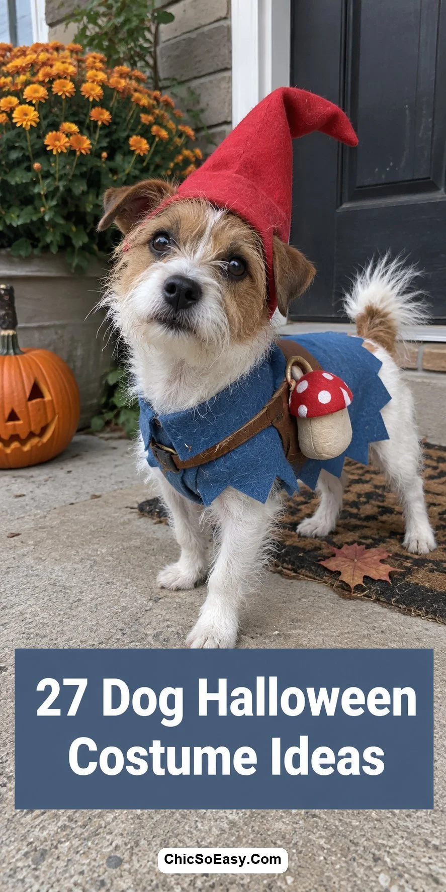 27 spuktakuläre Halloween-Kostümideen für Hunde, denen Sie nicht widerstehen können
