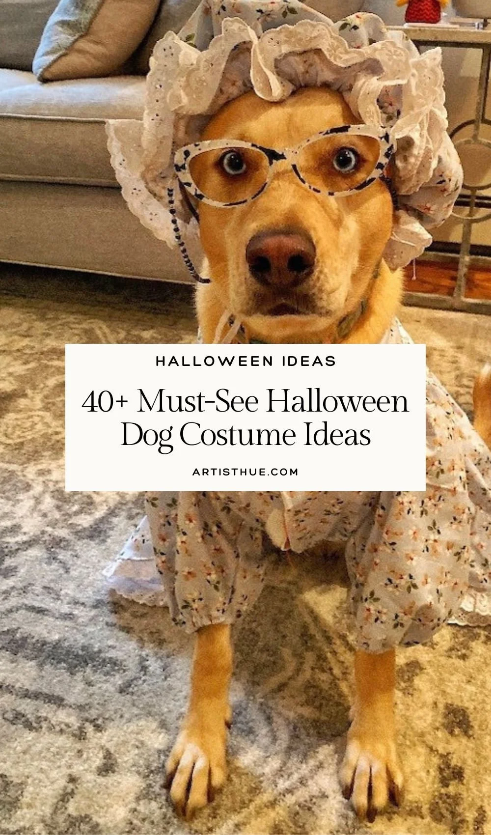 40+ Lustige und Gruselige Halloween-Kostümideen für Hunde