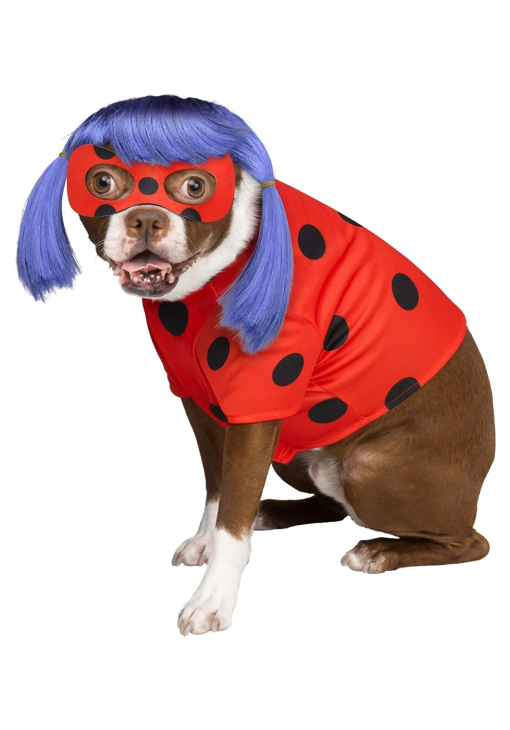 Haustier Miraculous Ladybug Kostüm