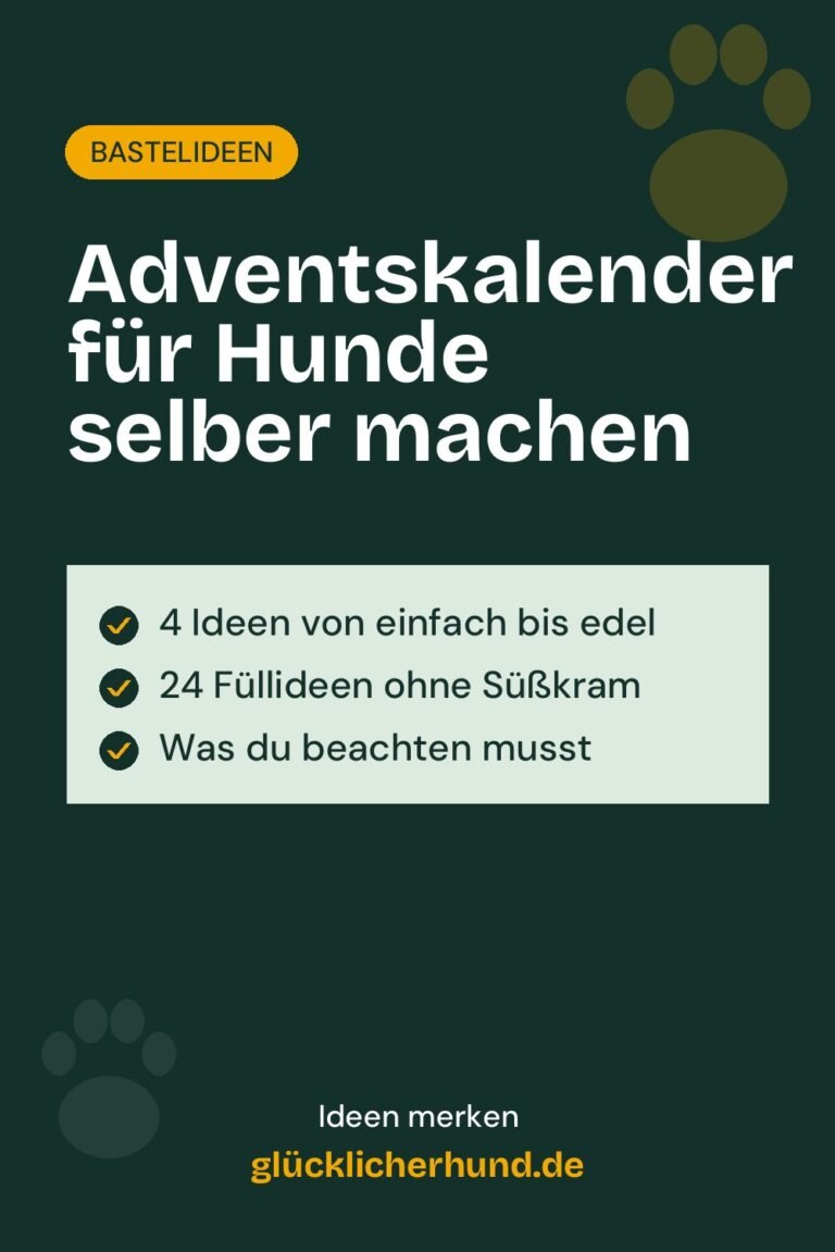 Adventskalender für Hunde selber machen: 4 Ideen + 24 Füllideen
