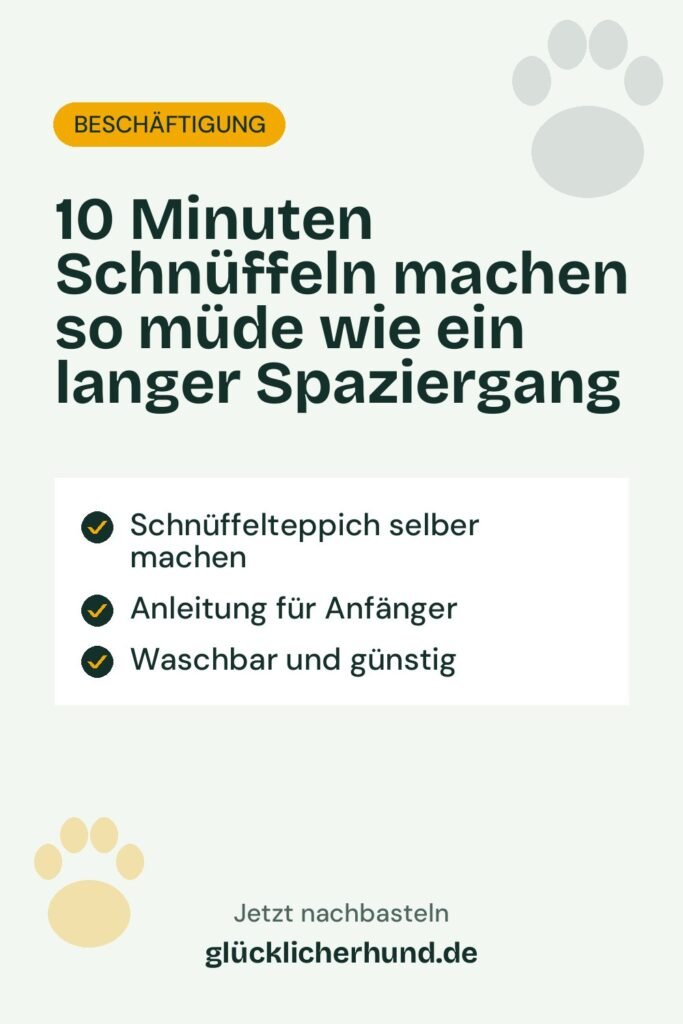 10 Minuten Schnüffeln machen so müde wie ein langer Spaziergang | glücklicherhund.de